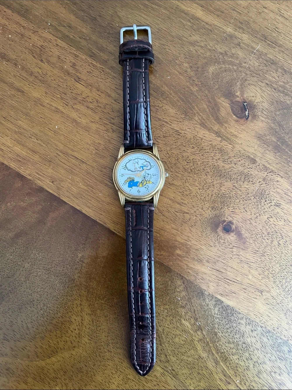 Goofy Dreaming Men's Watch — Brown Leather Strap, Gold Case